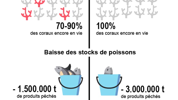 infographie rapport giec