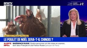 Le poulet de Noël sera-t-il chinois ? - 25/11