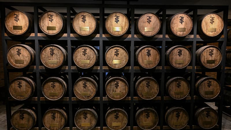 L'or du Venezuela n'est pas seulement noir mais aussi brun: comment le pays tente d'imposer son rhum considéré par certains comme le "meilleur du monde"