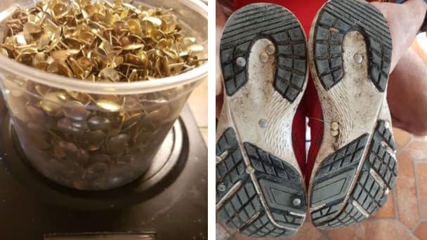 Des milliers de punaises ont été découverts sur une voie verte entre Pré-en-Pail, en Mayenne, et Lalacelle, dans l'Orne.