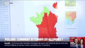 Désensibilisation, antihistaminiques...comment atténuer les allergies aux pollens? 
