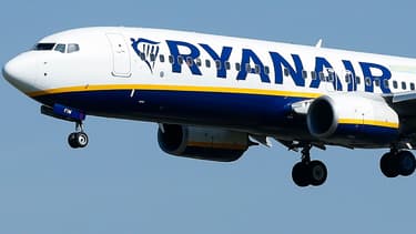 Le transporteur irlandais a introduit une demande de licenciement collectif auprès de l'UWV, l'organisme chargé de délivrer les permis de licenciement aux Pays-Bas