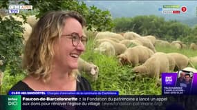 Fête de la transhumance à Castellane: le programme de ces trois jours de festivité