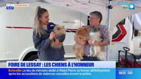 Manche : les chiens à l’honneur de la Foire de Lessay