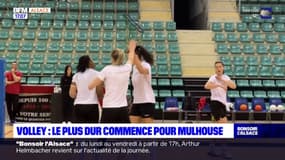 Volley: place aux play-offs pour les joueuses de Mulhouse