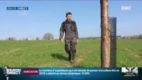 "Je n’osais pas manger ce que je produisais": Christophe, agriculteur, a opté pour le bio il y a 10 ans