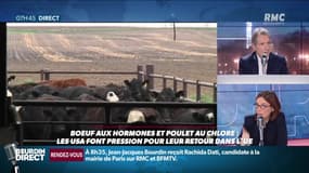 L'interview «Savoir comprendre» : Amélie de Montchalin - 29/01