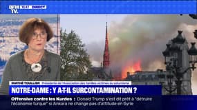 Notre-Dame : y a-t-il surcontamination ? (2) - 15/10