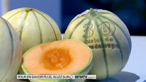 Le melon Philibon, il est très bon!