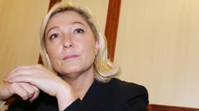 Marine Le Pen lors d'un meeting à Bergerac le 9 novembre 2013.