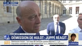 Alain Juppé assure qu'il n'a "aucune ambition gouvernementale" après la démission de Nicolas Hulot