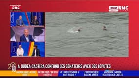 Amélie Oudéa-Castéra confond des sénateurs avec des députés