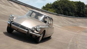 La vente aux enchères se déroulera ce samedi 18 mars à Fontainebleau-Moret-sur-Loing (Seine et Marne)