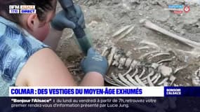 Colmar: au pied de la collégiale Saint-Martin, les fouilles archéologiques se poursuivent