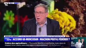 Rejet de l'accord UE-Mercosur par le ministre italien de l'Agriculture: "Je serais assez surpris que Giorgia Meloni soit sur cette position", indique Jean-Luc Demarty (ancien directeur général du commerce extérieur de l'UE)
