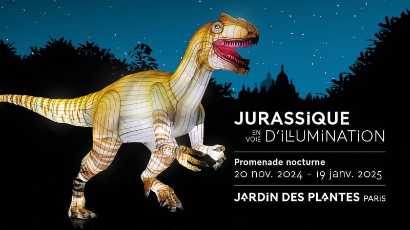 L'exposition Jurassique en voie d'Illumination du 20 novembre 2024 au 19 janvier 2025 au Jardin des Plantes