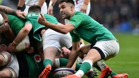 Le demi de mêlée irlandais, Conor Murray, lors d'une mêlée ouverte pendant le match du Tournoi des Six nations contre l'Angleterre, le 23 février 2020 à Londres.