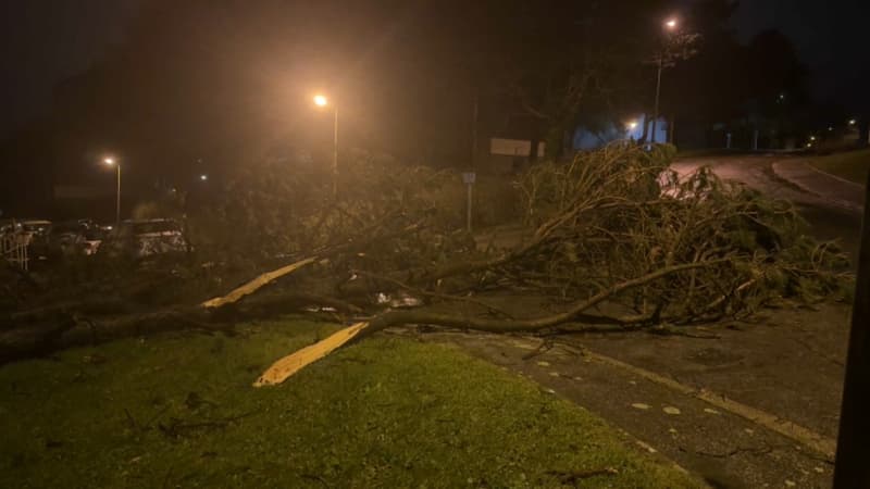 Tempête Goretti: coupures d'électricité, dégâts et grosses perturbations dans les transports
