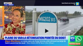 Nice: la bétonisation de la plaine du Var dénoncée par le groupe écologiste