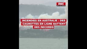 Incendies en Australie: méfiez-vous des fausses cagnottes sur Internet