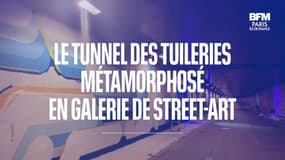 Paris: une galerie de street-art au cœur du tunnel des Tuileries