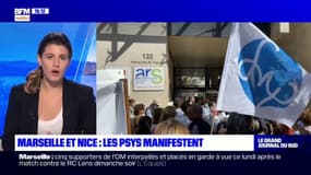 Marseille: les psychologues ont manifesté devant l'ARS sur le remboursement des séances 
