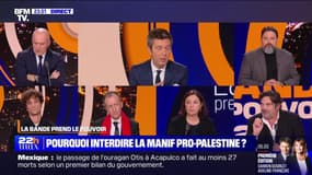 Pourquoi interdire la manif pro palestinienne ? - 26/10