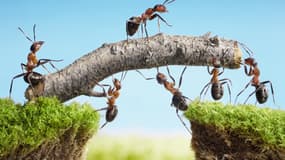 Coaching d’Entreprises : peut-on considérer la crise comme une opportunité ?