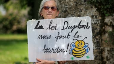 Une opposante à la loi Duplomb, membre de la Confédération paysanne, à Saint-Michel dans le Gers, le 5 juin 2025