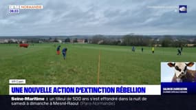 Calvados: Extinction Rébellion plante 150 arbres pour défendre une prairie centenaire