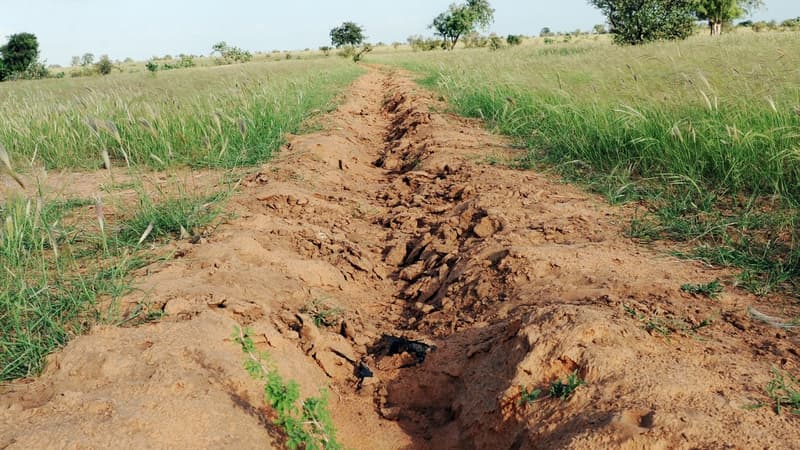 Environnement: qu'est ce que le projet de "Grande muraille verte" en Afrique?