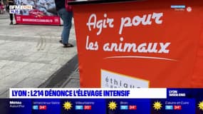 Lyon: action de l'association L214 pour dénoncer l'élevage intensif