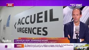 Face à Sébastien : Dominique Savary - 03/08