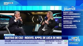 Quota de CO2: nouvel appel de Luca de Meo