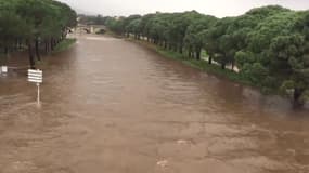 EN VIDÉO - Tempête "Gloria": l'eau monte dans les Pyrénées-Orientales et l'Aude
