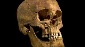 Le squelette exhumé il y a plusieurs mois sous un parking de Leicester est bien celui de Richard III, mort en 1485.