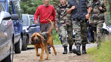 Des militaires et un chien Saint-Hubert lors d'une opération de recherche de personnes disparues, le 28 juillet 2011, à Ouides, en Haute-Loire.
