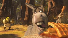 Shrek et le personnage de l'âne dans la saga animée de Dreamworks