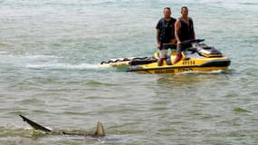 Un aileron de requin est photographié alors que les services de secours israéliens recherchent un homme disparu dans les eaux de la mer Méditerranée au large de la côte de Hadera, le 22 avril 2025.