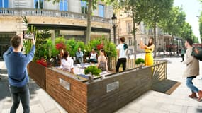 Des terrasses végétalisées vont être installées cet été sur les Champs-Élysées