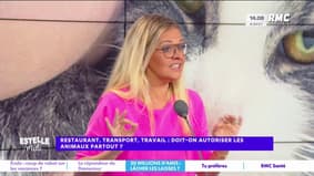 Autoriser les animaux dans les transports, restaurants : le coup de gueule de Carine Galli