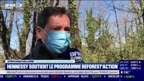 Impact : Hennessy soutient le programme Reforest'Action par Cyrielle Hariel - 12/04