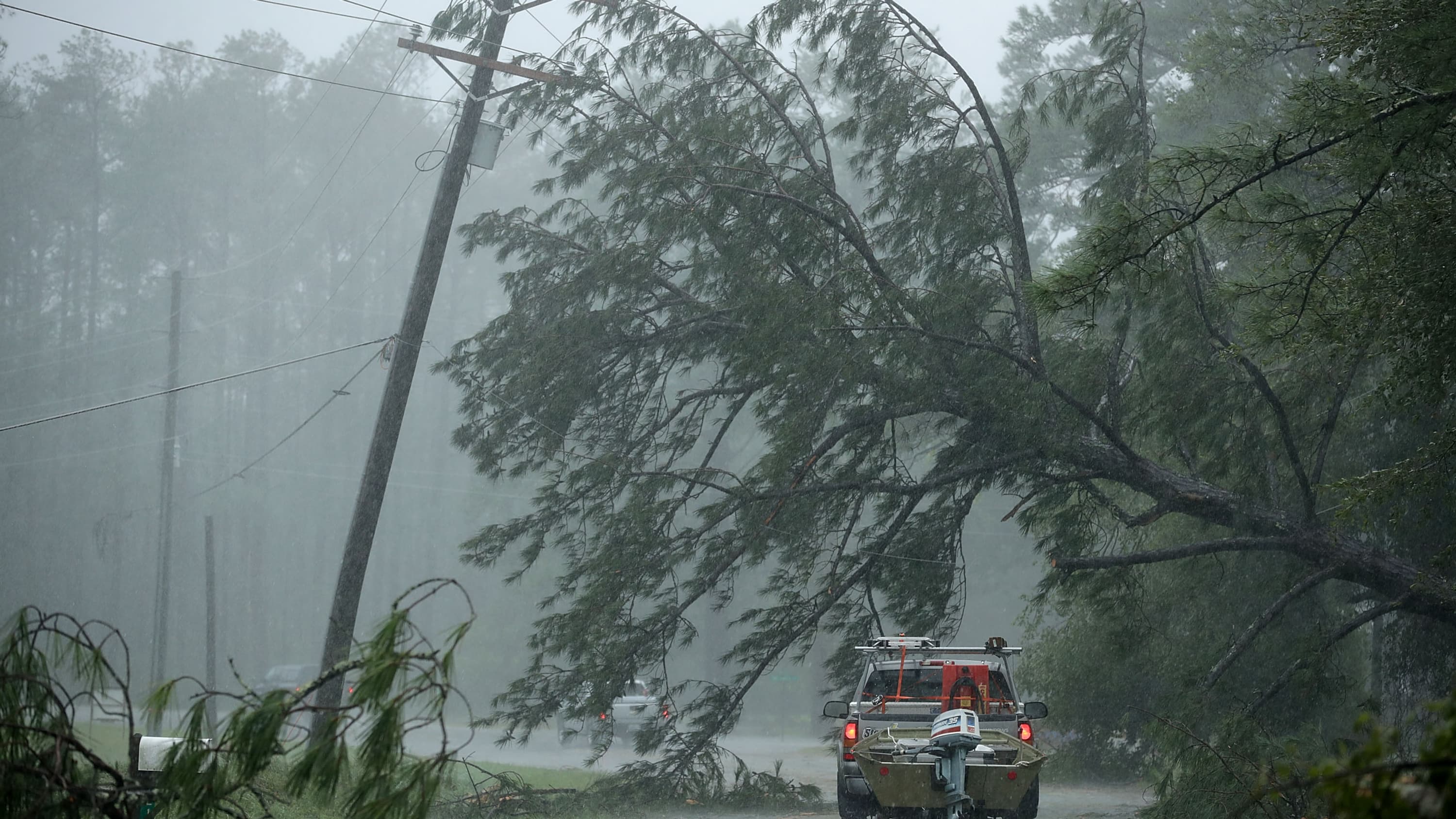 Une arbre effondré sur une ligne électrique de New Bern, en Caroline du Nord, le 14 septembre 2018. 