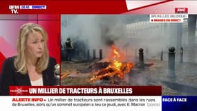 Marion Maréchal affirme qu'elle est "contre le traité de libre-échange avec le Mercosur" 