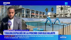 Toulon: une femme interdite d'allaiter à la piscine municipale, la mairie évoque un malentendu