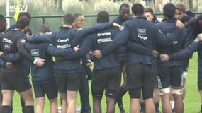 XV de France : Novès contre-attaque après son licenciement