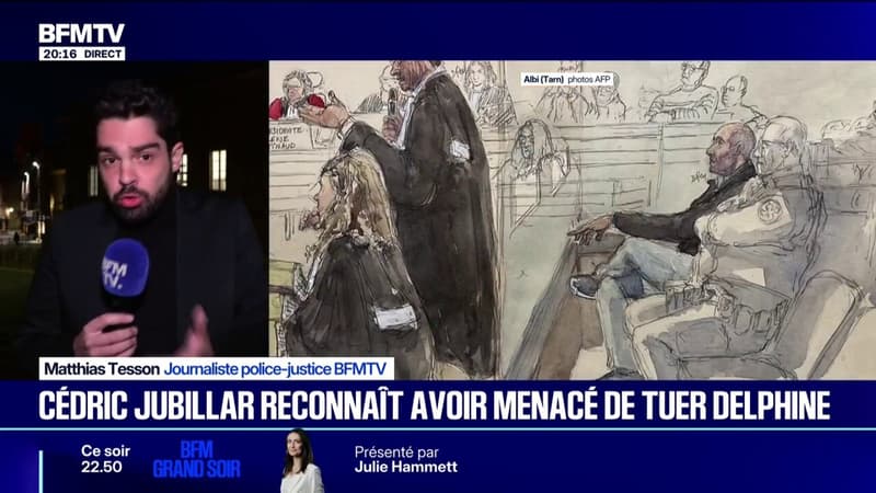 ProcÃ¨s de CÃ©dric Jubillar: l'ex-femme de l'amant de Delphine a Ã©tÃ© entendue Ã  la...