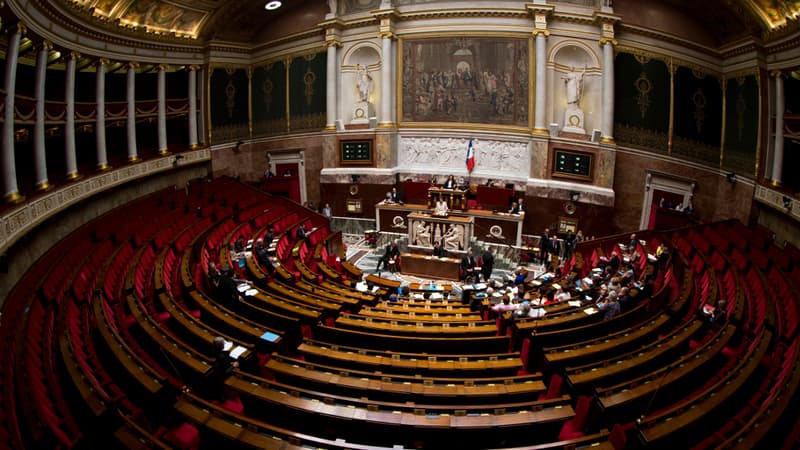 L'Assemblée nationale à Paris 