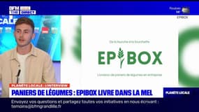 Planète Locale du lundi 1er avril - Paniers de légumes : Épibox dans la MEL