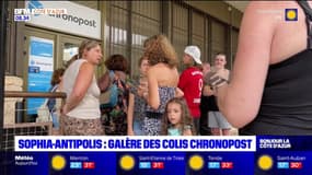 Alpes-Maritimes: la galère des colis Chronopost au centre Sophia-Antipolis